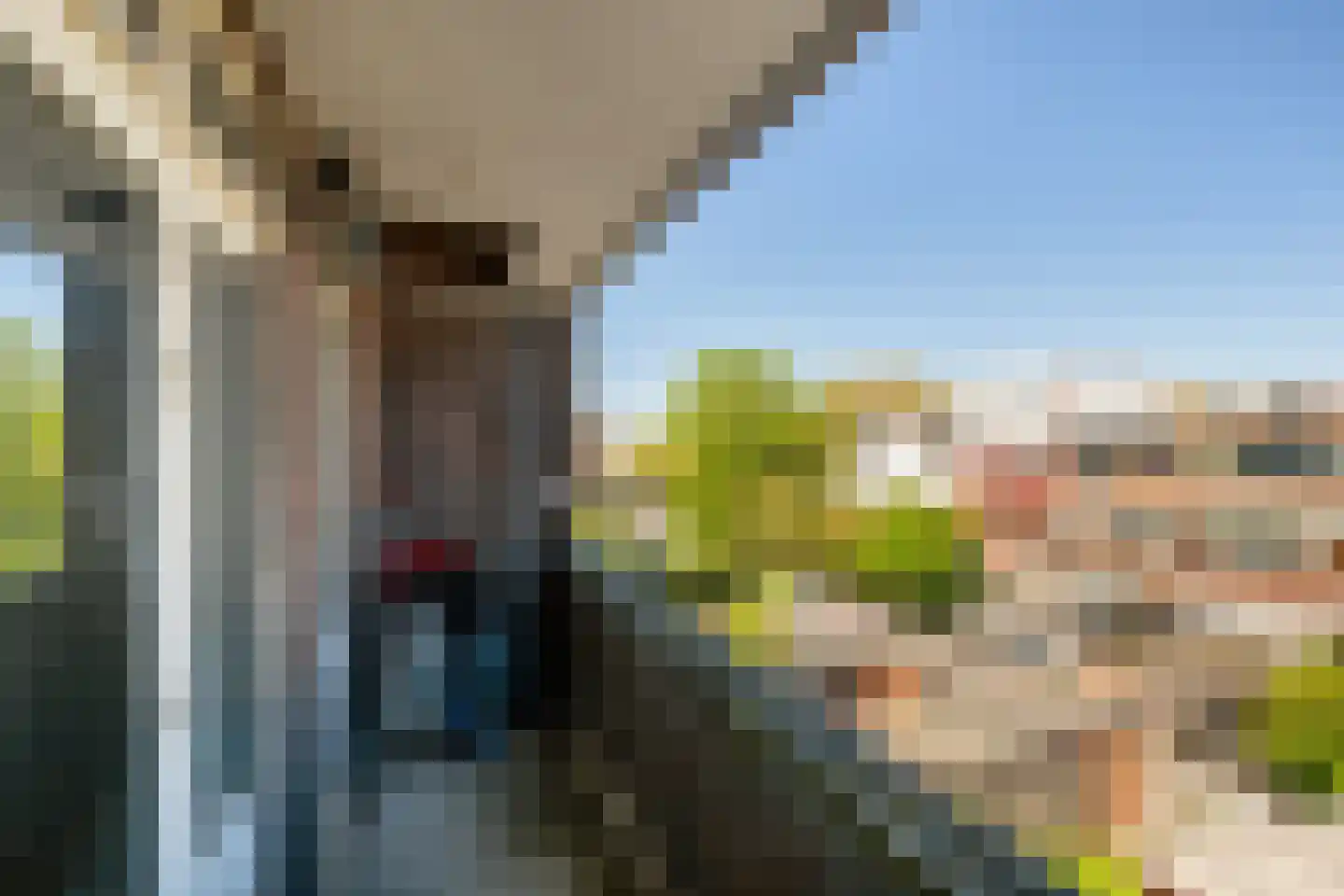 Mahlerstraat 46 Vlaardingen thumbnail 15