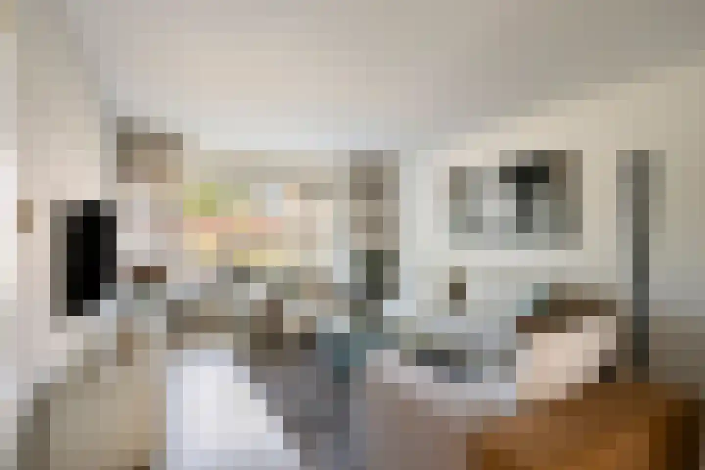 Mahlerstraat 60 Alkmaar thumbnail 10
