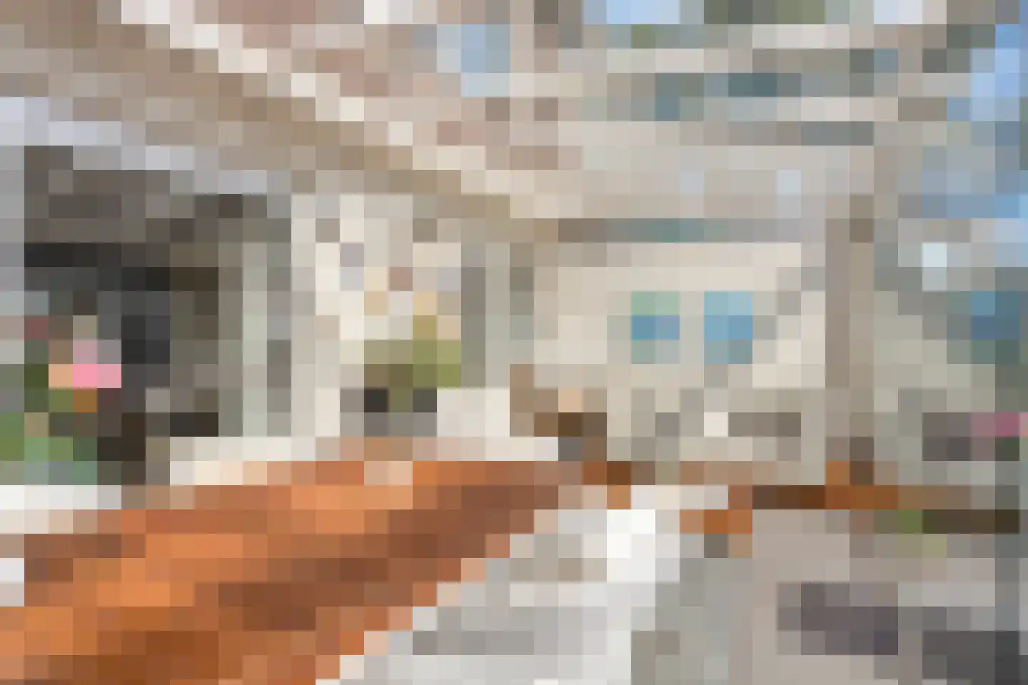 Mahlerstraat 60 Alkmaar thumbnail 22