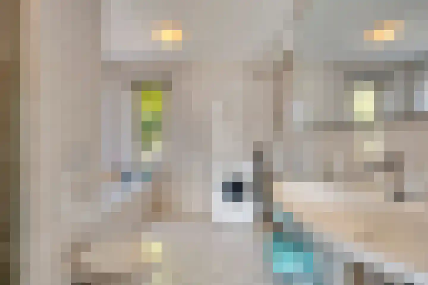 Mahlerstraat 60 Alkmaar thumbnail 34