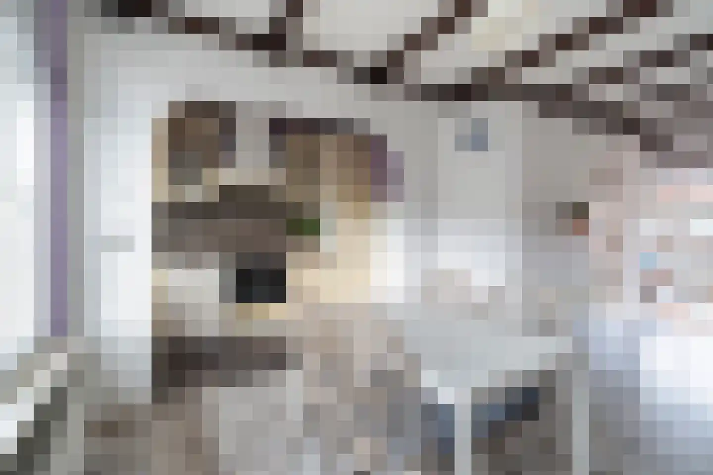 Mahlerstraat 61 Vlaardingen thumbnail 18