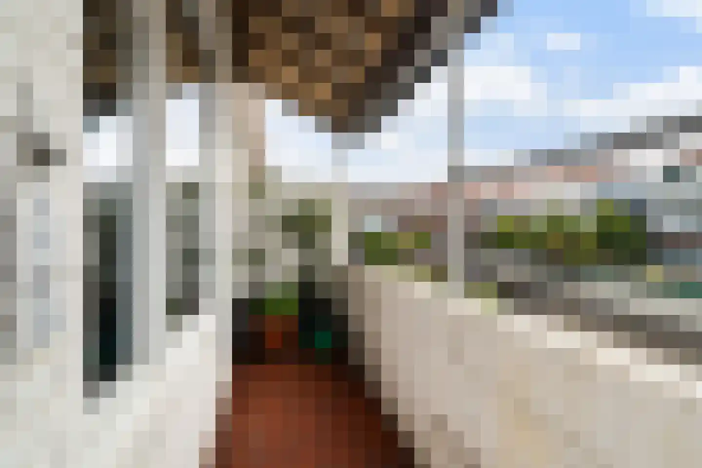Mahlerstraat 61 Vlaardingen thumbnail 25