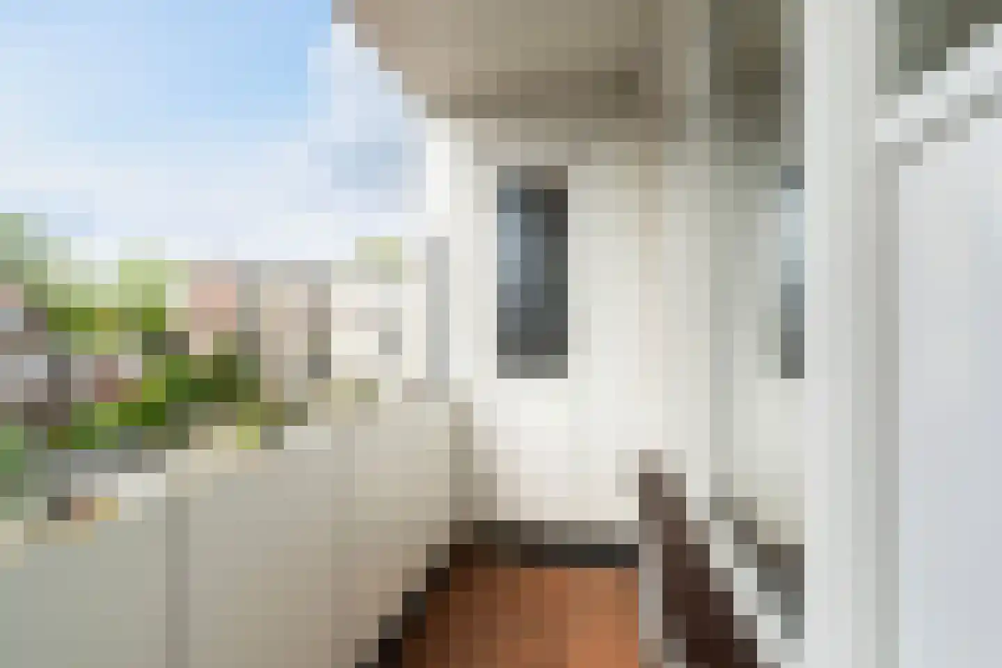 Mahlerstraat 61 Vlaardingen thumbnail 34