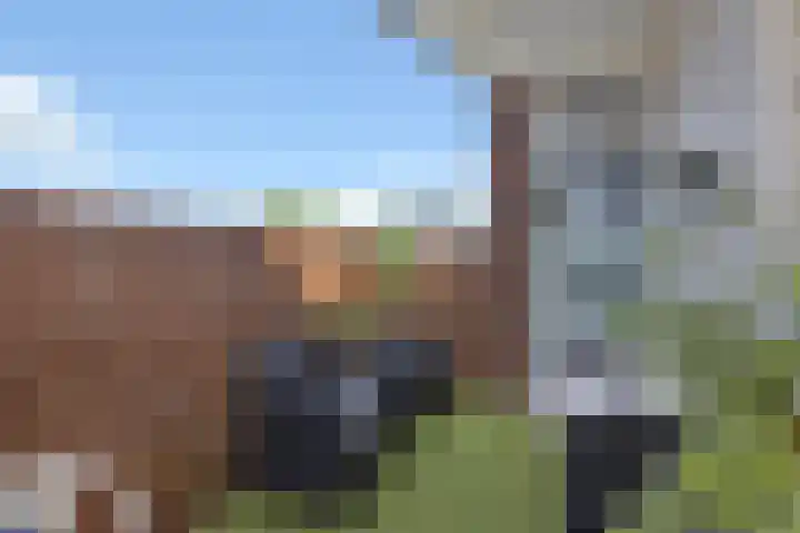 Mahlerstraat 76 Vlaardingen thumbnail 21