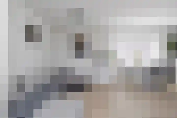 Mahlerstraat 76 Vlaardingen thumbnail 6