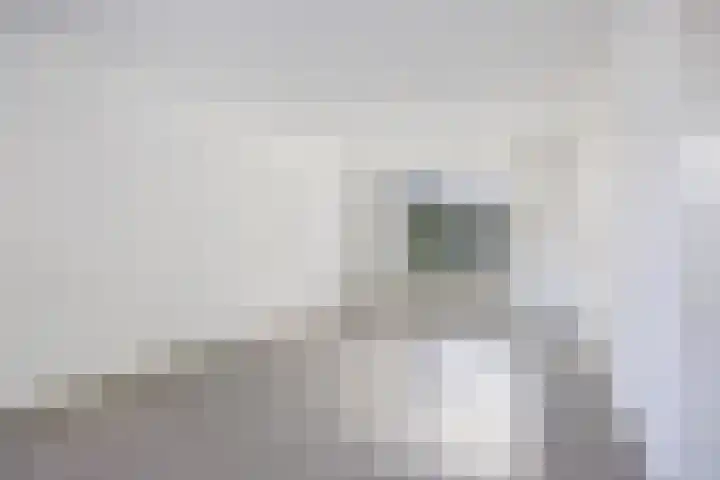 Mahlerstraat 78 Tilburg thumbnail 6