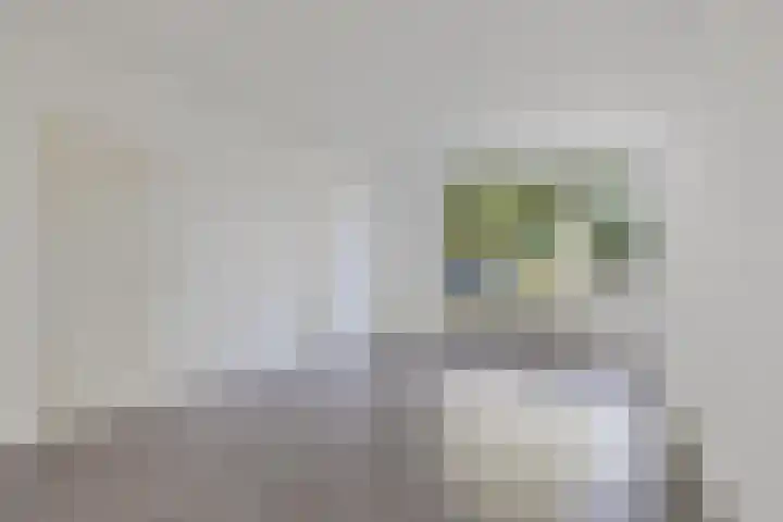 Mahlerstraat 78 Tilburg thumbnail 7