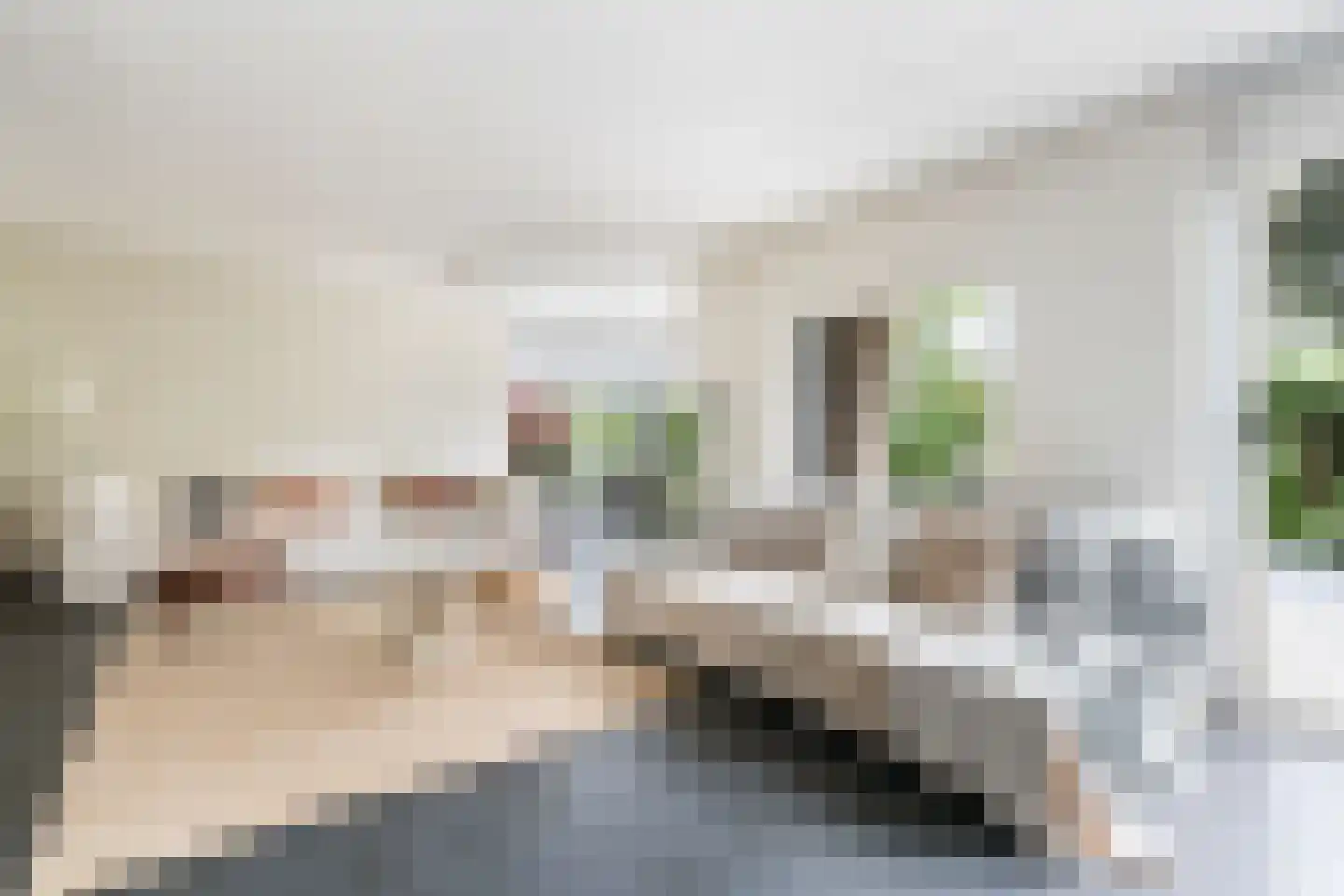 Mahlerstraat 8 Capelle aan den IJssel thumbnail 14
