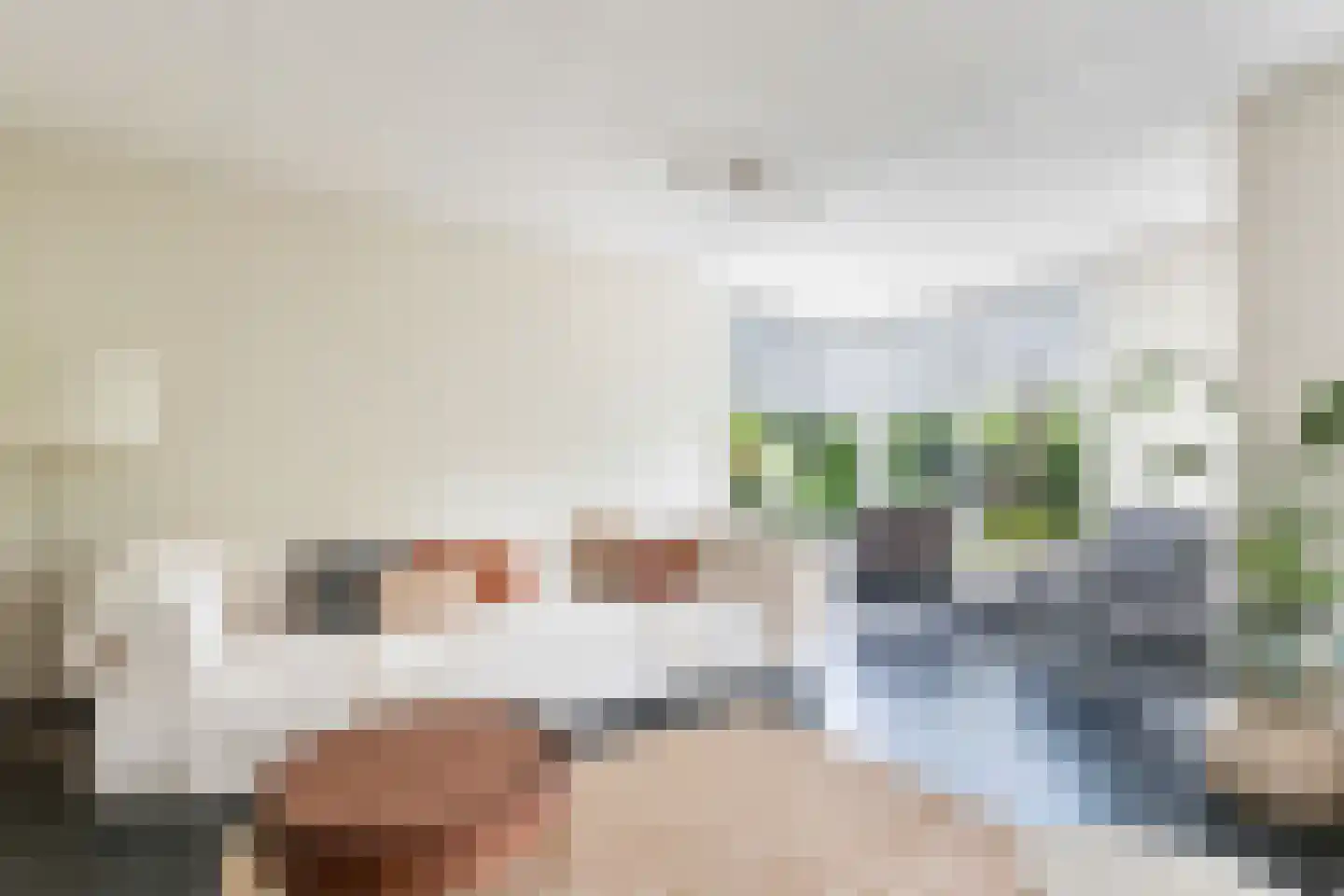 Mahlerstraat 8 Capelle aan den IJssel thumbnail 15