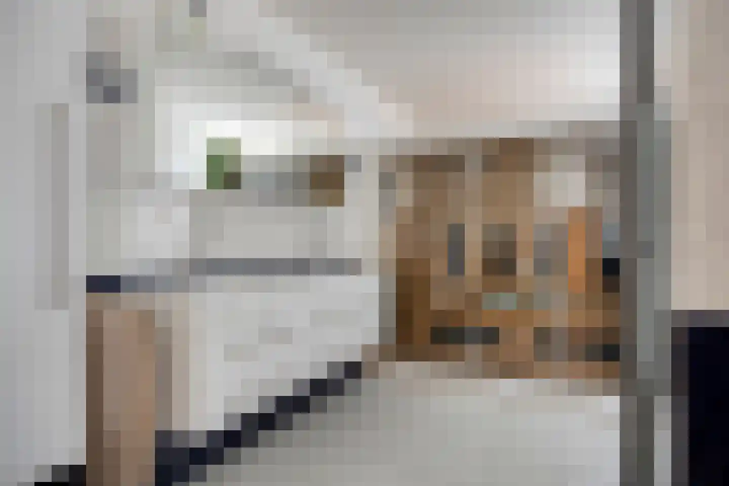 Mahlerstraat 8 Capelle aan den IJssel thumbnail 16