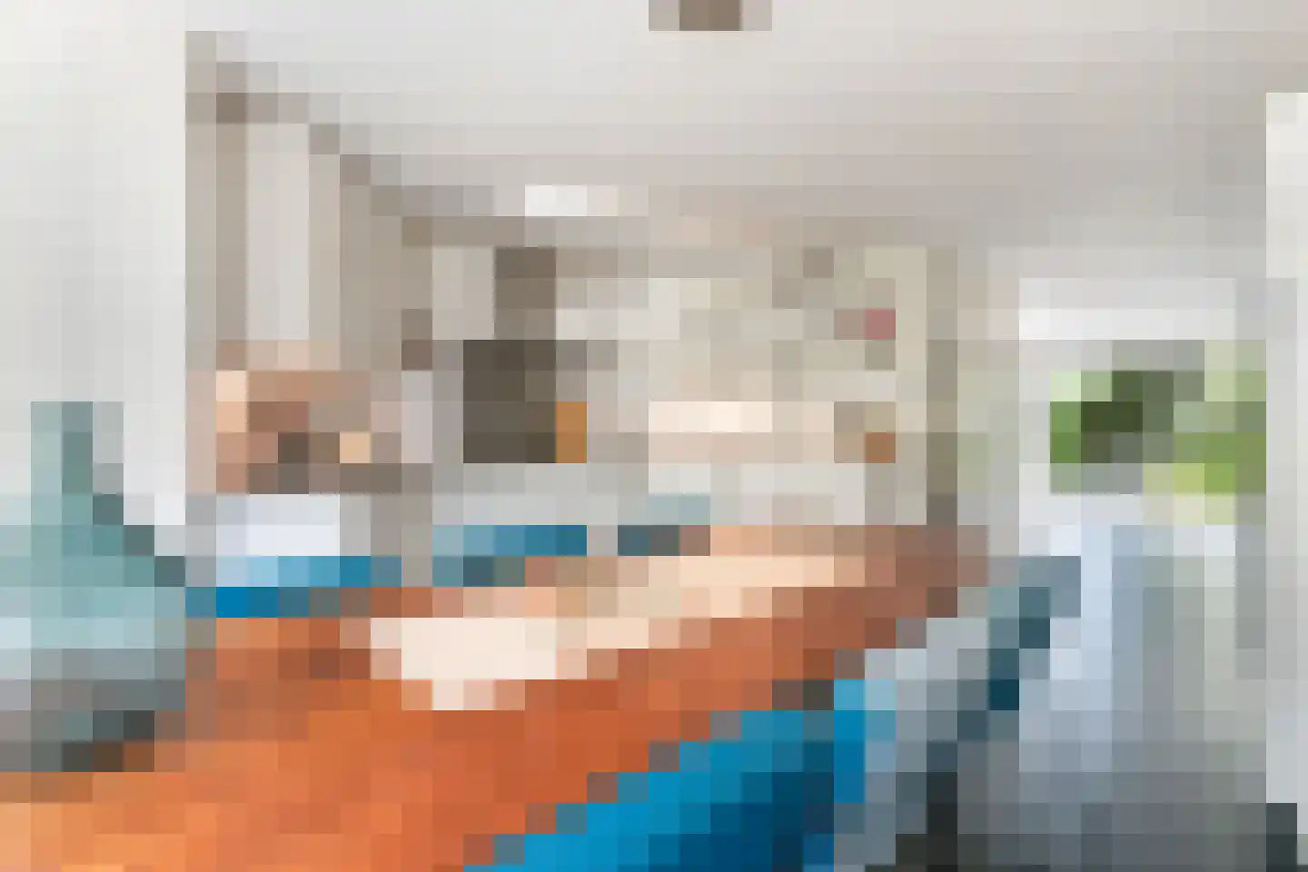 Mahlerstraat 8 Capelle aan den IJssel thumbnail 22