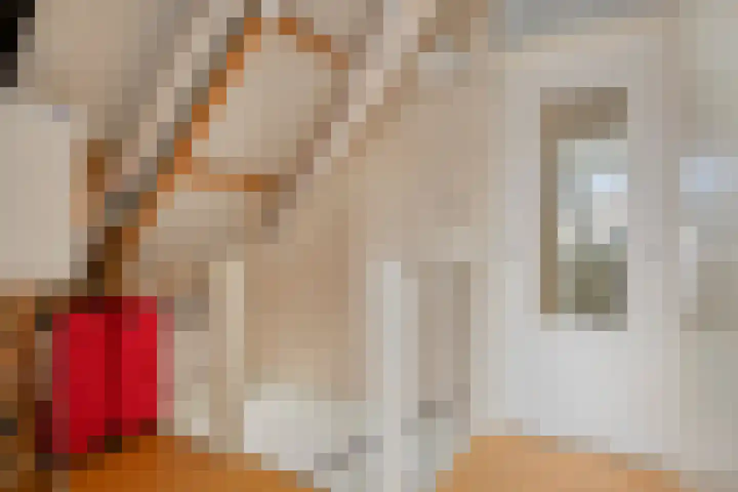 Mahlerstraat 8 Capelle aan den IJssel thumbnail 22