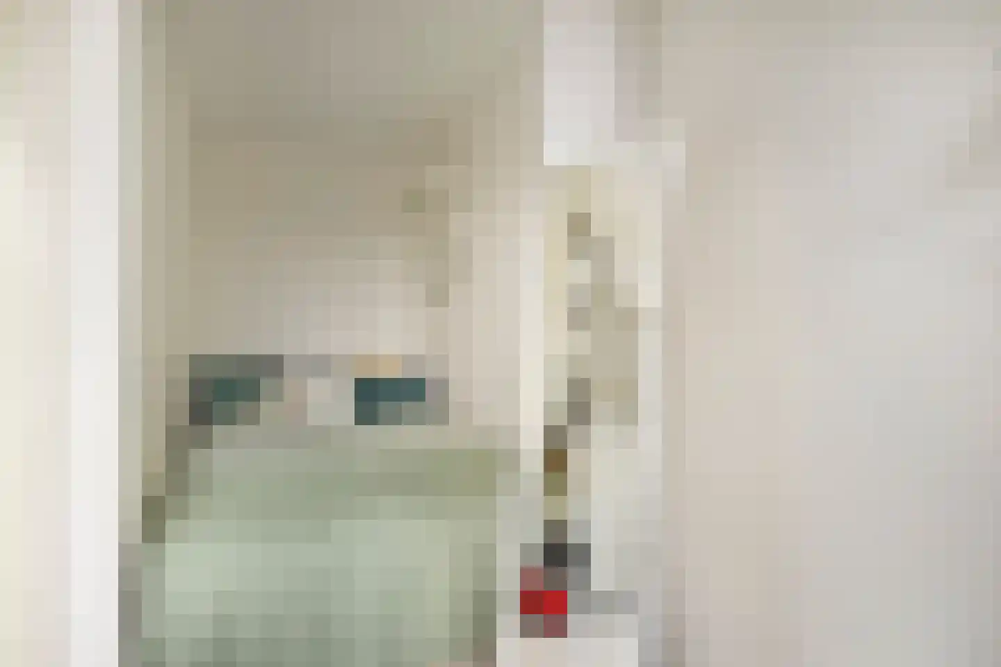Mahlerstraat 8 Capelle aan den IJssel thumbnail 26