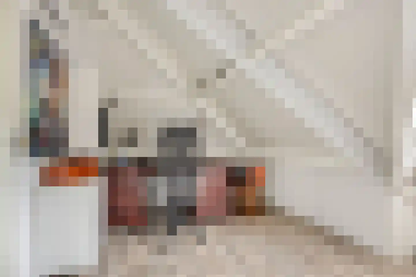 Mahlerstraat 8 Capelle aan den IJssel thumbnail 27
