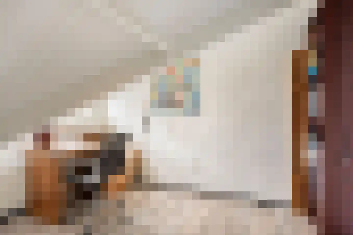 Mahlerstraat 8 Capelle aan den IJssel thumbnail 28