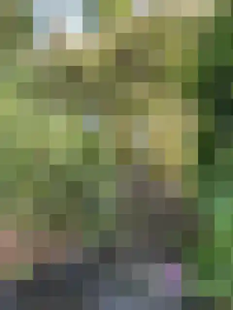 Mahlerstraat 8 Capelle aan den IJssel thumbnail 31