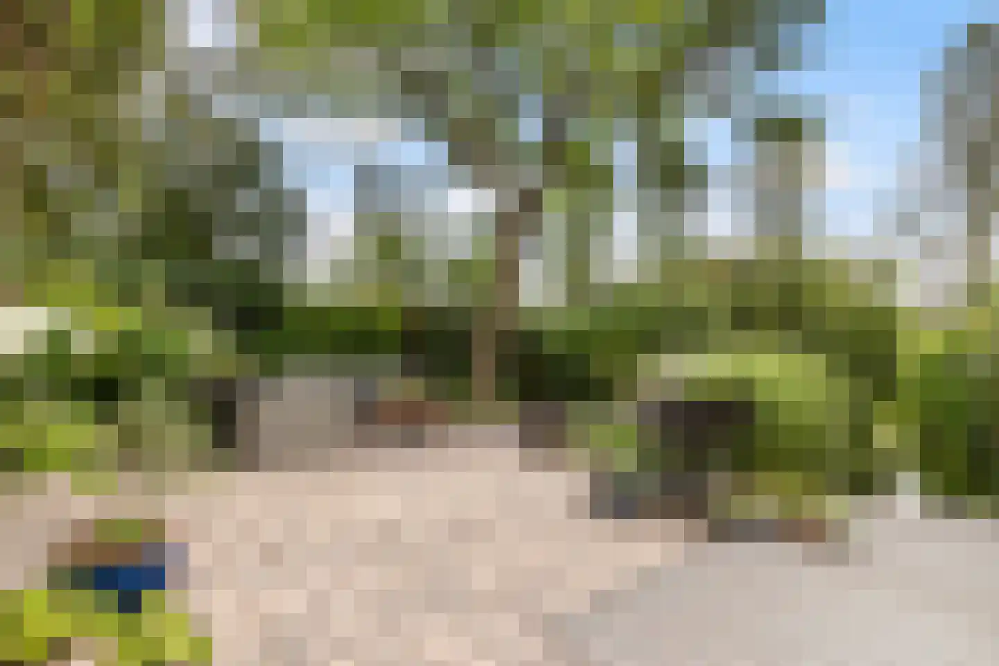 Mahlerstraat 8 Capelle aan den IJssel thumbnail 41