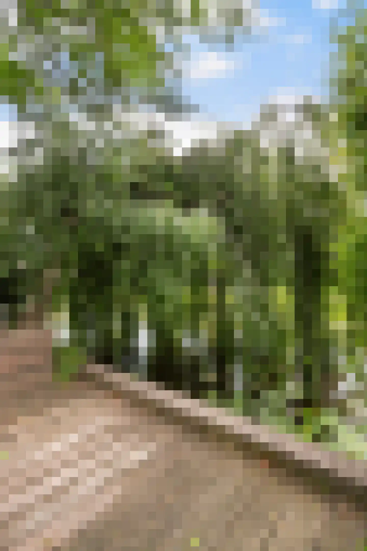 Mahlerstraat 8 Capelle aan den IJssel thumbnail 47