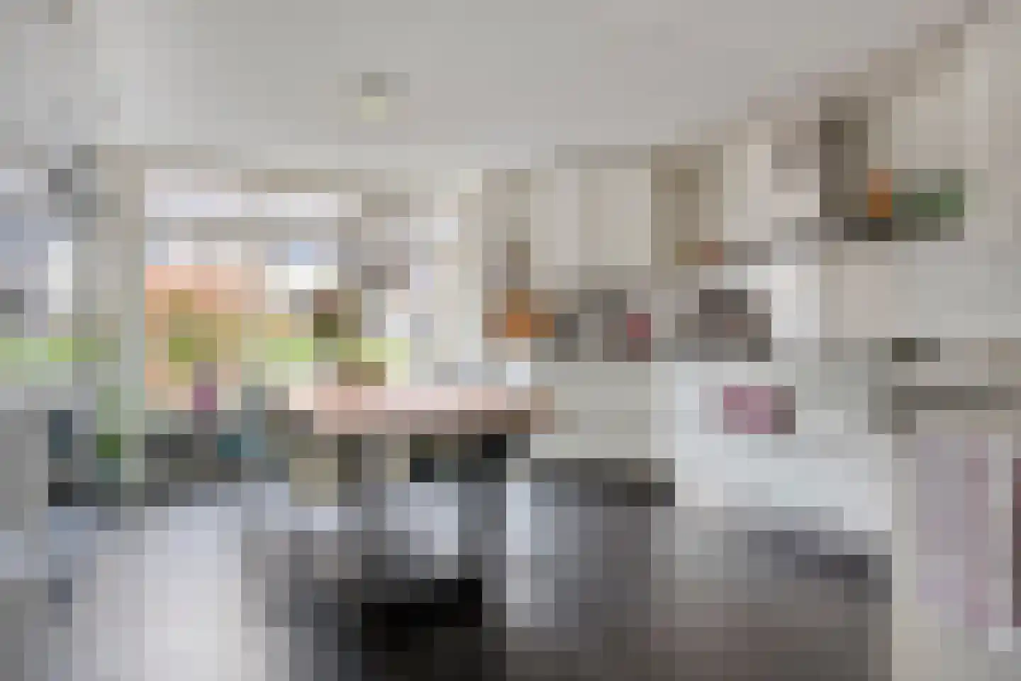 Mahlerstraat 8 Capelle aan den IJssel thumbnail 7