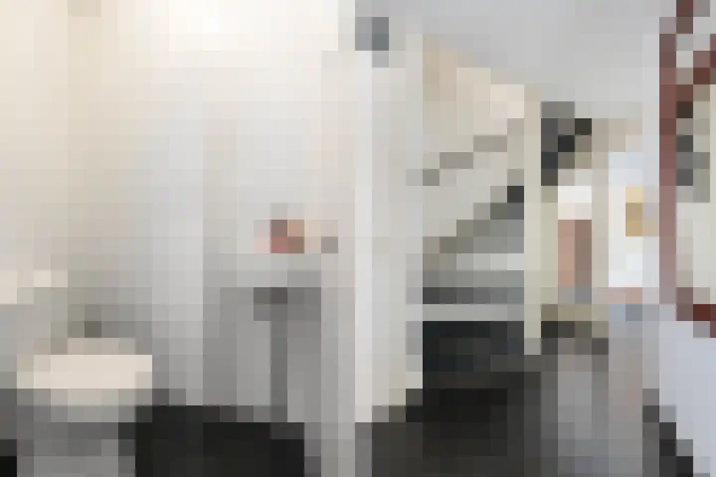 Mahlerstraat 8 Capelle aan den IJssel thumbnail 7