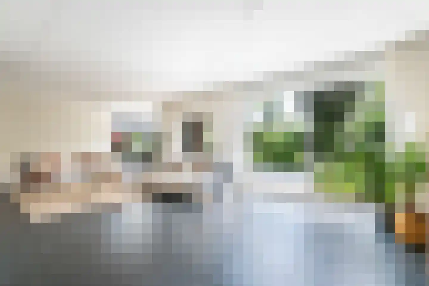 Mahlerstraat 8 Capelle aan den IJssel thumbnail 9