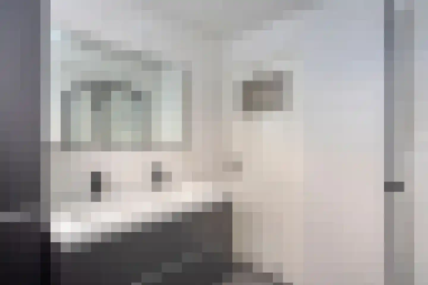 Mahlerstraat 81 Tilburg thumbnail 25