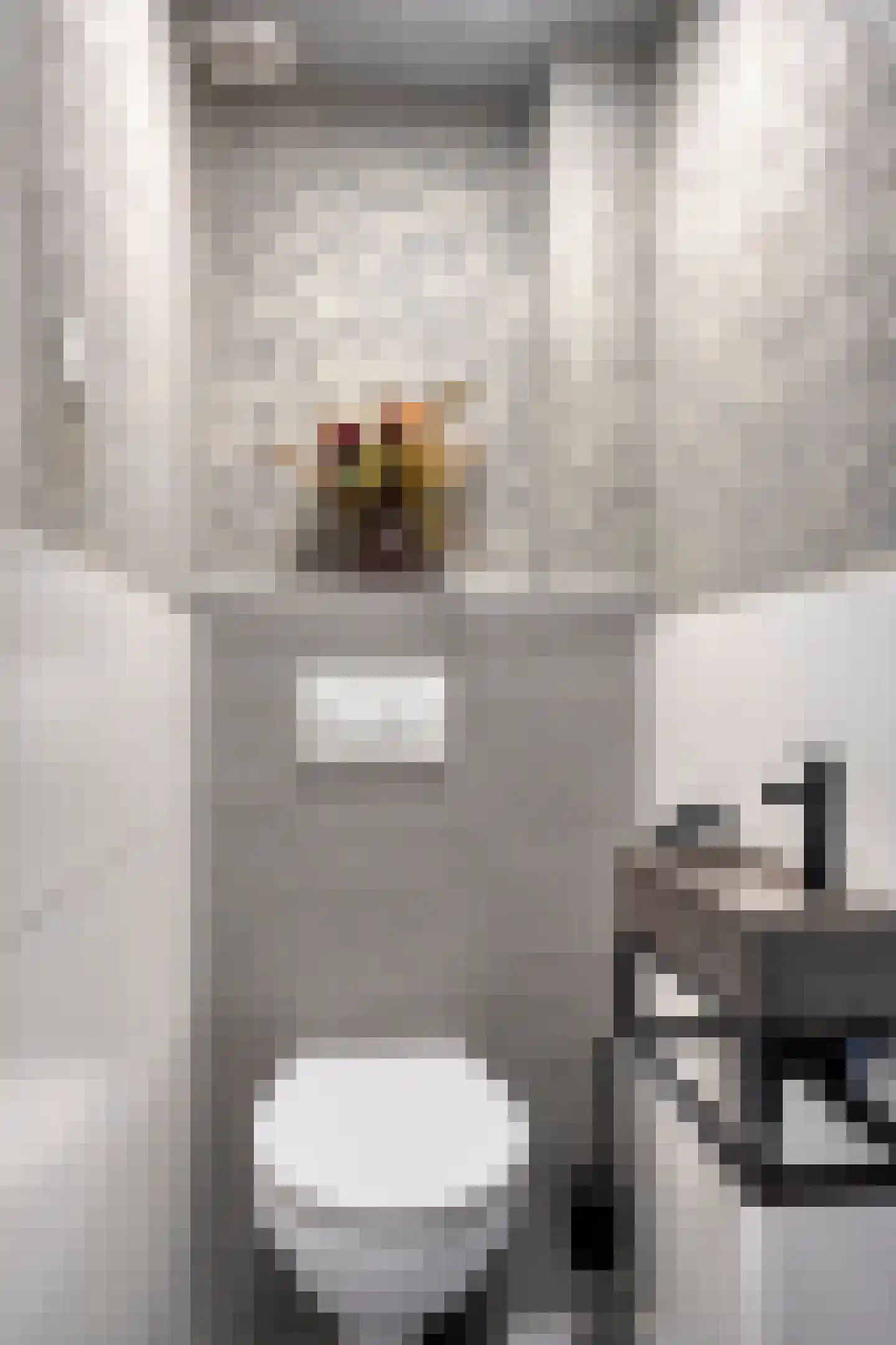 Mahlerstraat 81 Tilburg thumbnail 7