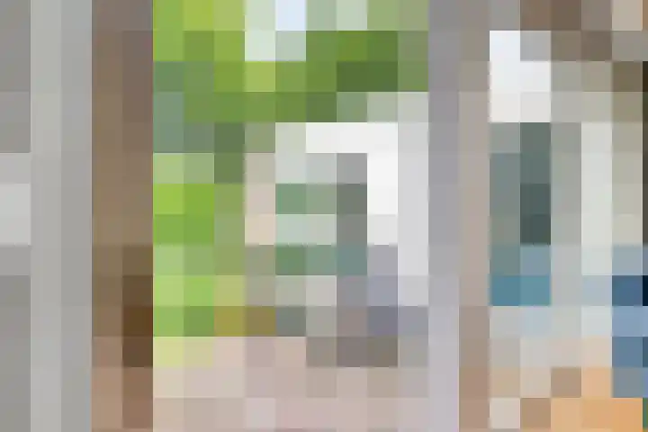 Mahonialaan 10 Heerhugowaard thumbnail 16