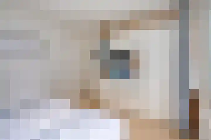 Mahonialaan 10 Heerhugowaard thumbnail 23