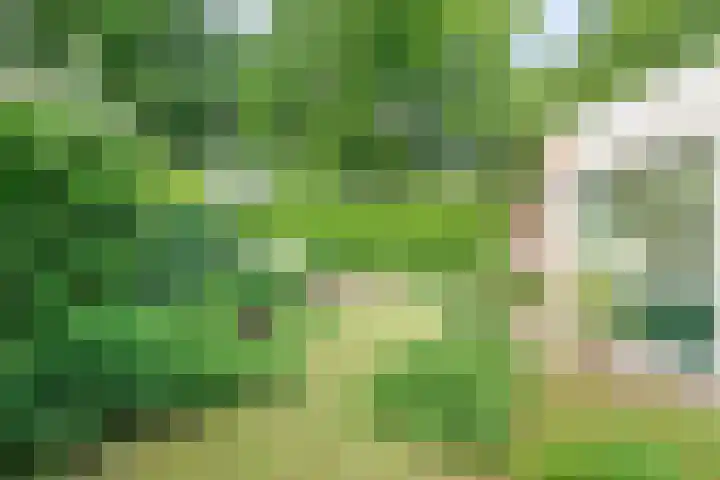 Mahonialaan 10 Heerhugowaard thumbnail 33