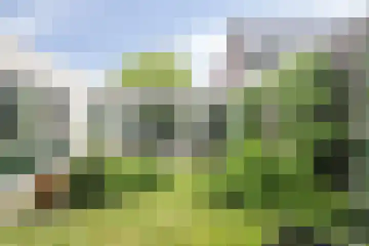 Mahonialaan 10 Heerhugowaard thumbnail 34