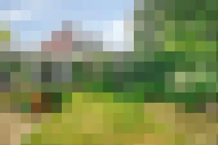 Mahonialaan 10 Heerhugowaard thumbnail 36