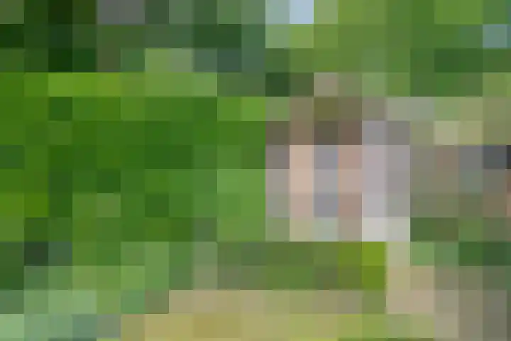 Mahonialaan 10 Heerhugowaard thumbnail 37