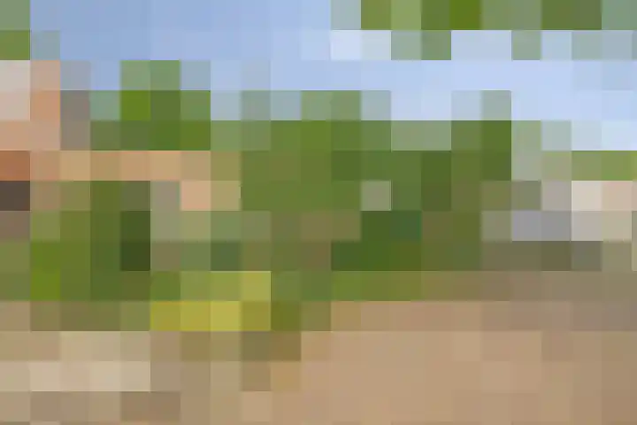 Mahonialaan 10 Heerhugowaard thumbnail 7