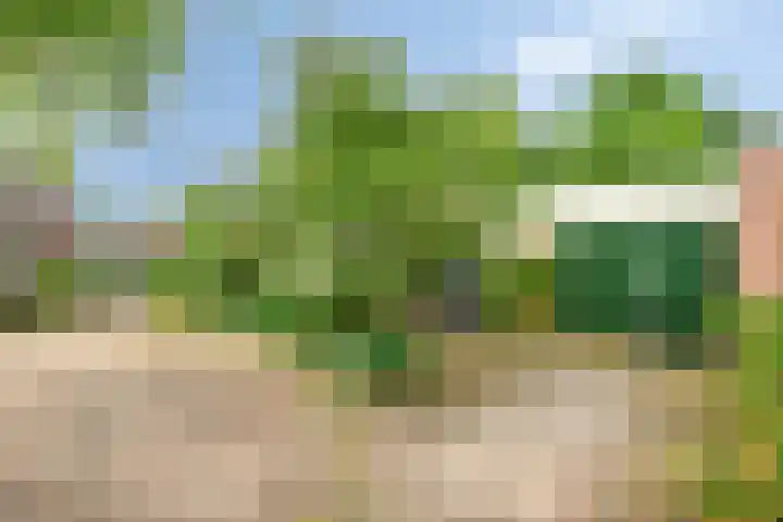 Mahonialaan 10 Heerhugowaard thumbnail 8