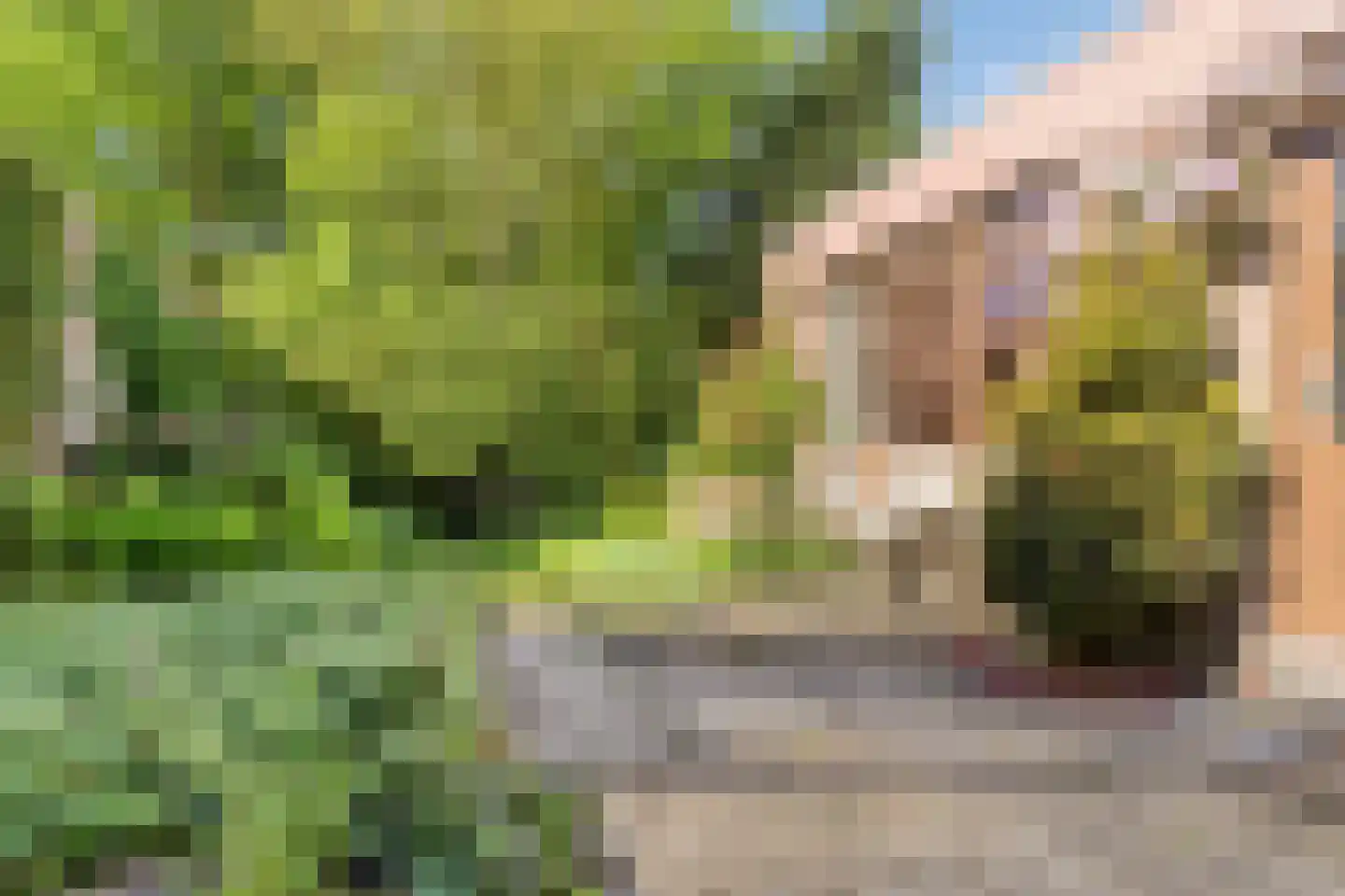 Mahonialaan 48 Heerhugowaard thumbnail 25