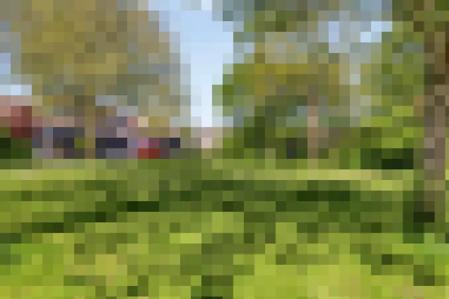 Mahonialaan 48 Heerhugowaard thumbnail 31