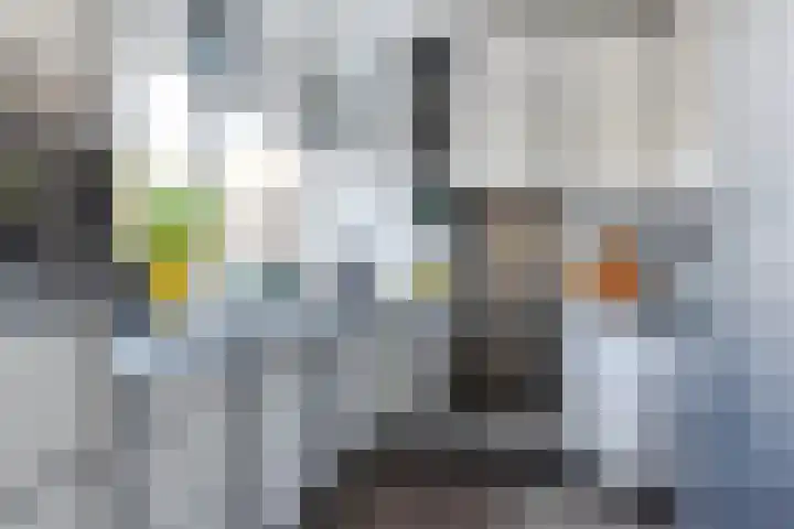 Mahonialaan 84 Heerhugowaard thumbnail 21