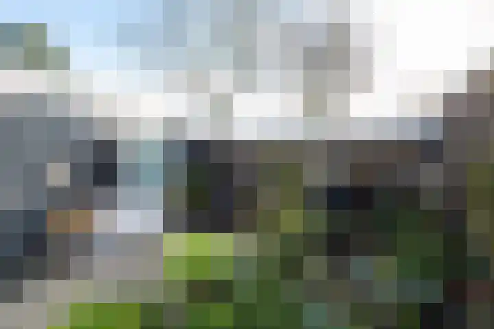 Mahonialaan 84 Heerhugowaard thumbnail 35