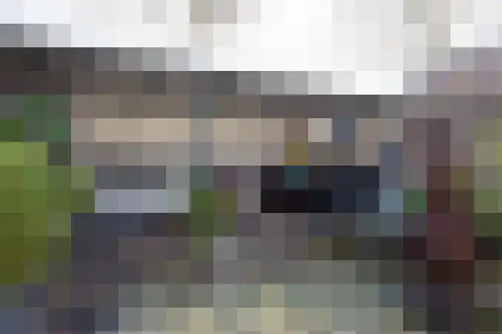 Mahonialaan 84 Heerhugowaard thumbnail 38