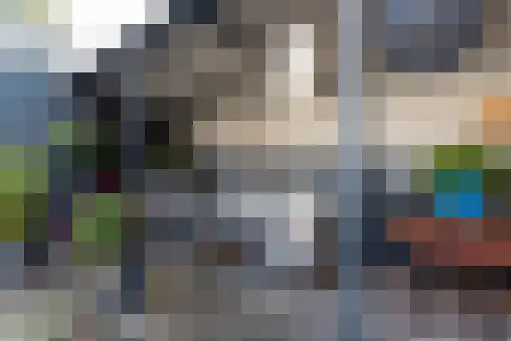 Mahonialaan 84 Heerhugowaard thumbnail 39