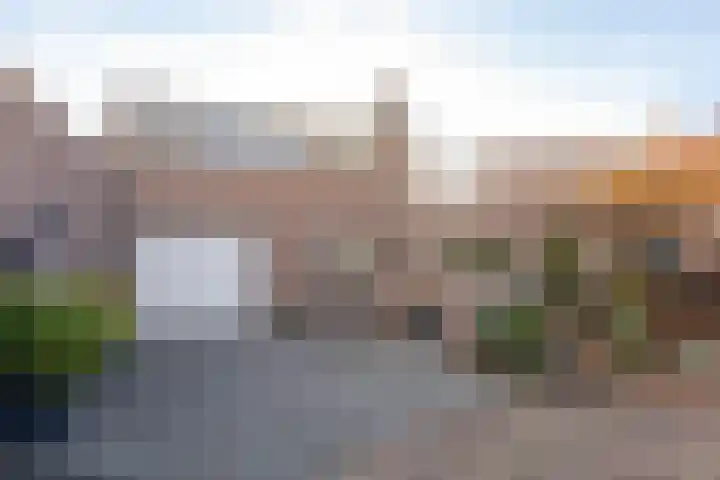 Mahonialaan 84 Heerhugowaard thumbnail 43