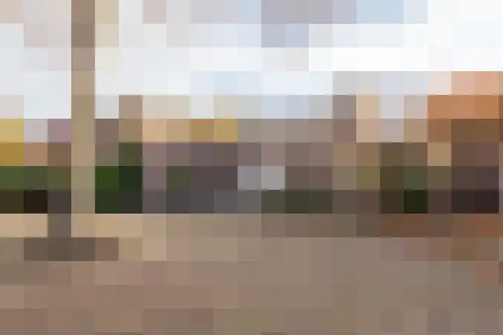 Mahonialaan 84 Heerhugowaard thumbnail 45