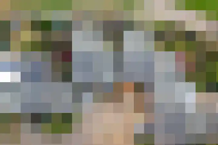 Mahonialaan 84 Heerhugowaard thumbnail 48