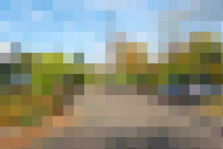Mahonialaan 84 Heerhugowaard thumbnail 49
