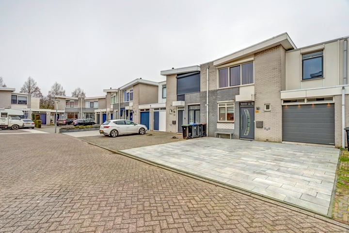 Mahonie 120 in Dordrecht foto