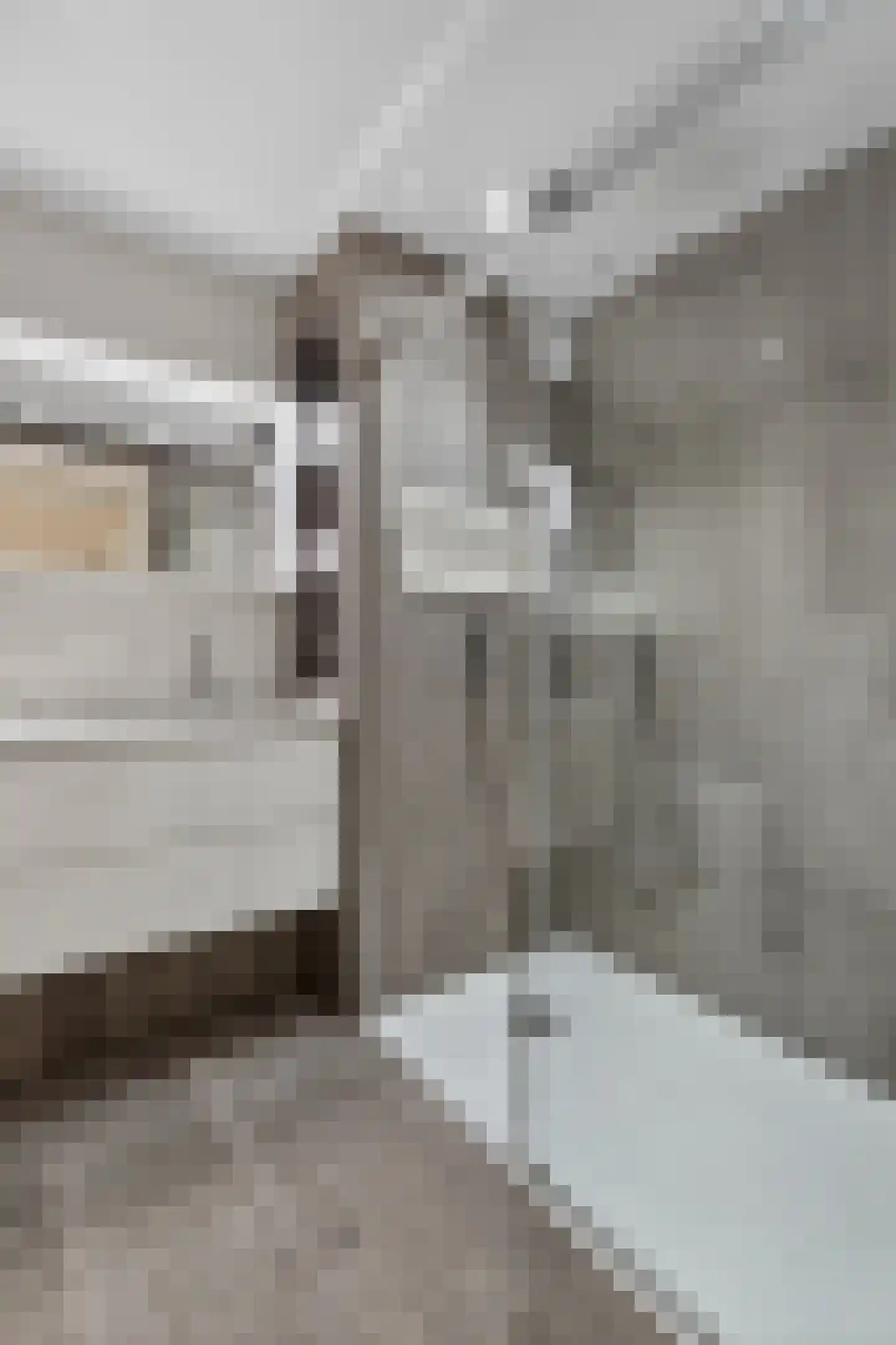 Mahonie 137 Dordrecht thumbnail 17