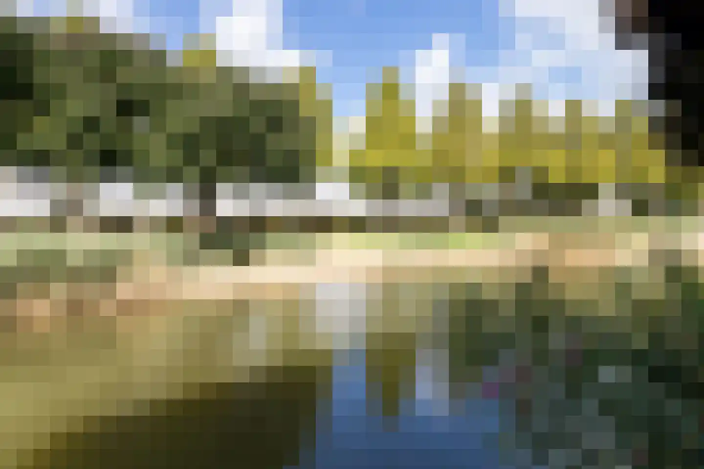 Mahonie 137 Dordrecht thumbnail 26
