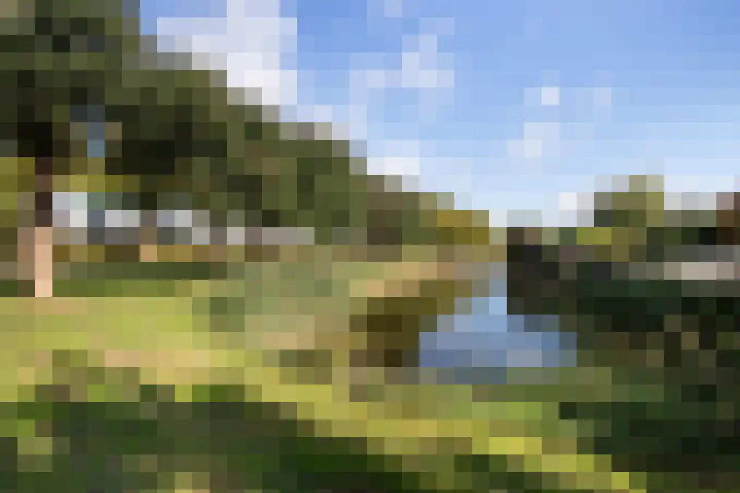 Mahonie 137 Dordrecht thumbnail 27