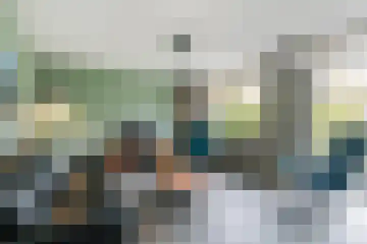 Mahonie 139 Dordrecht thumbnail 10